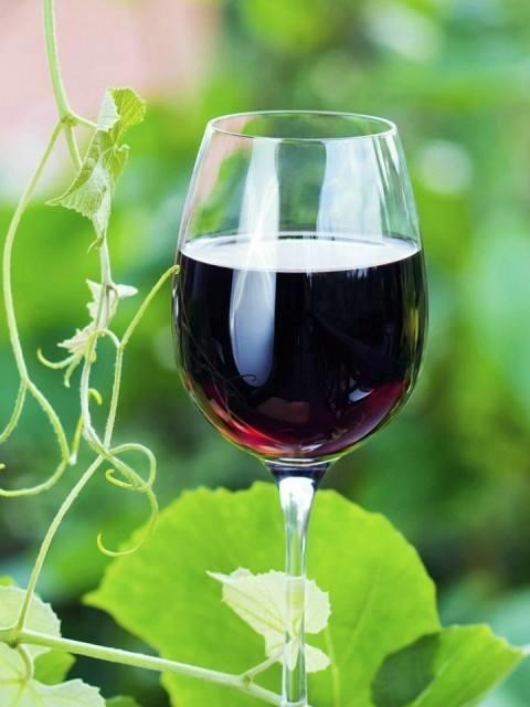 乐视送的红酒20（揭秘乐视送的红酒20的口感与评价）