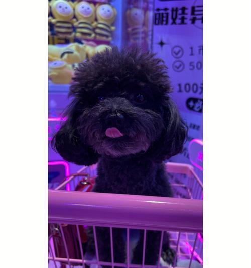 黑米S6手机使用体验报告（一部黑科技的颠覆者）
