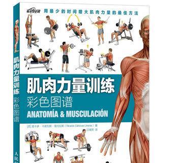 硬派健身（探索极限，重塑身心，拥抱健康生活）