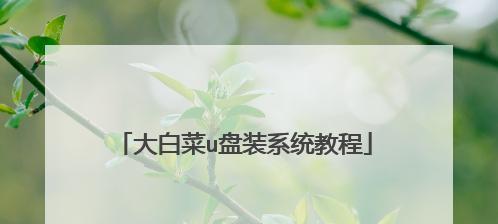 如何用大白菜安装苹果电脑（一步步教你使用大白菜黑苹果进行苹果电脑安装）