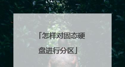 固态加硬盘分区教程（完整教您如何使用固态加硬盘分区工具进行分区管理）