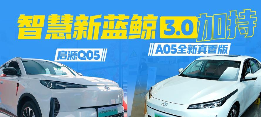 以蓝鲸传媒如何创新媒体行业（探索新媒体发展路径，引领行业创新）