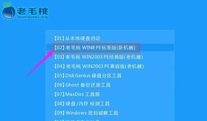 用U盘虚拟机安装系统教程（快速学习U盘虚拟机装系统的方法）