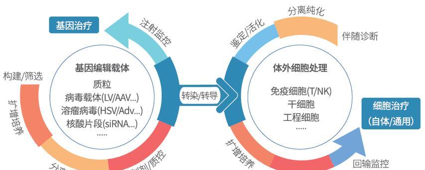 基因治疗的应用与前景（基因治疗）