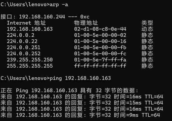 电脑模拟域名命令错误的原因及解决办法（解决电脑模拟域名命令错误的关键步骤）